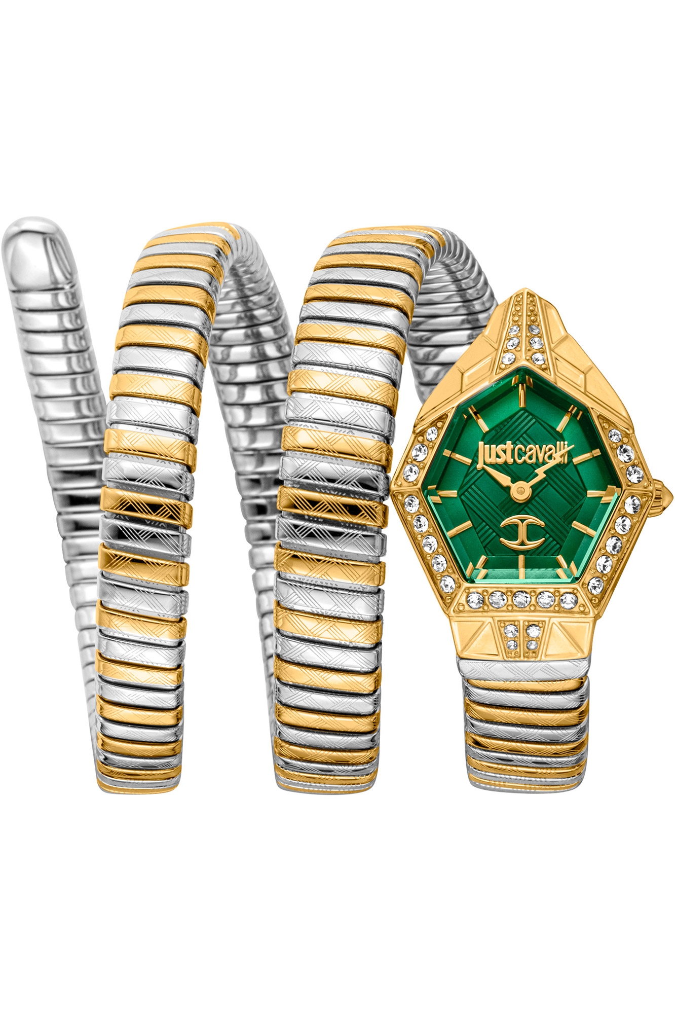 JUST CAVALLI Mod. JC1L304M0065
