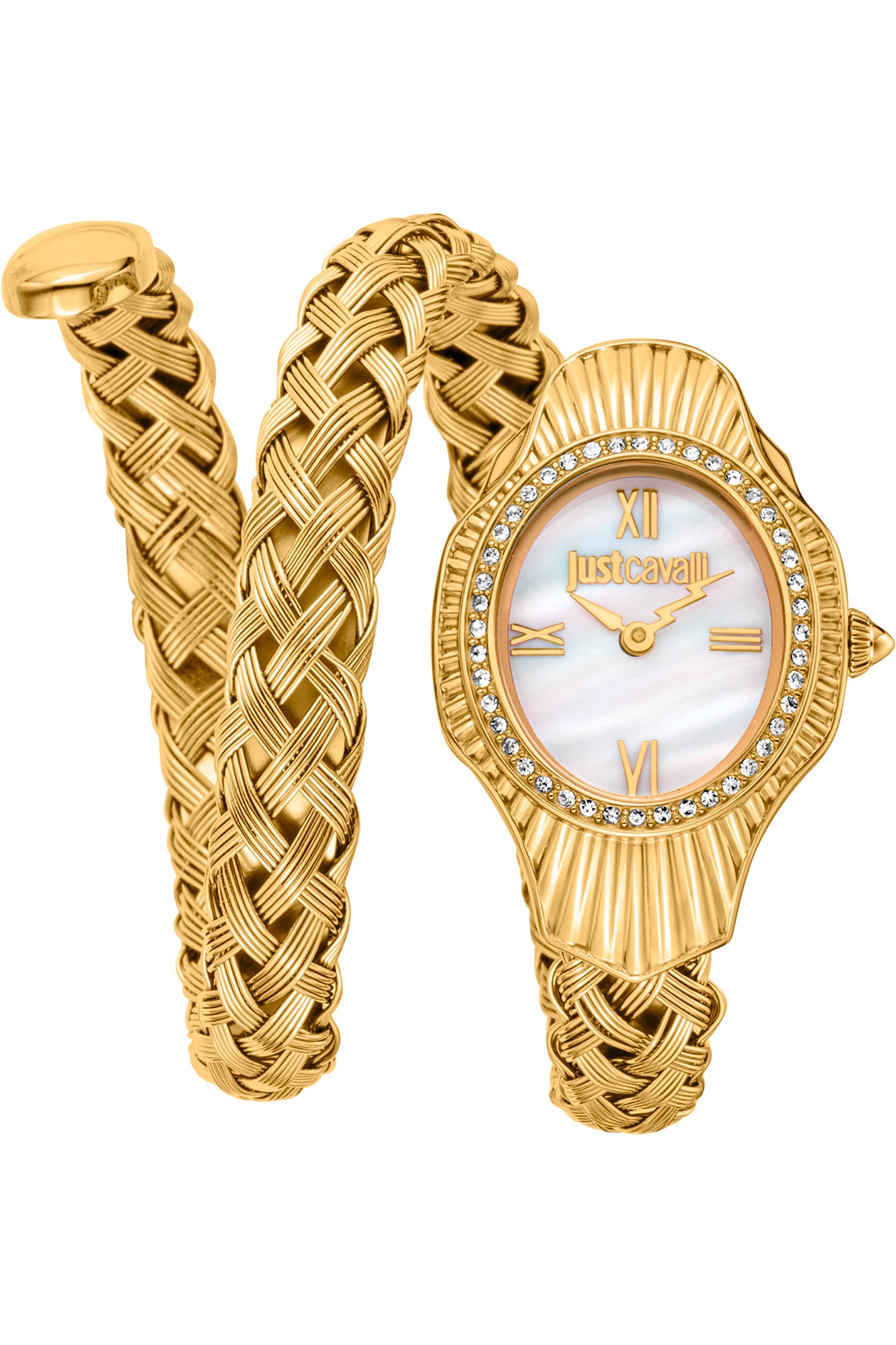 JUST CAVALLI Mod.JC1L305M0025