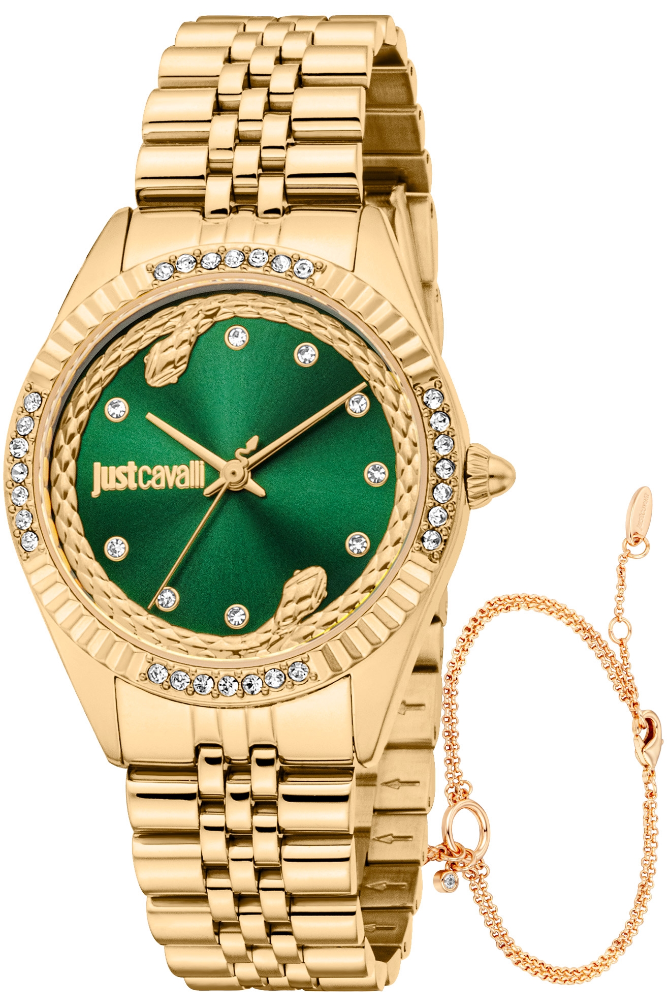JUST CAVALLI Mod. JC1L361M0065