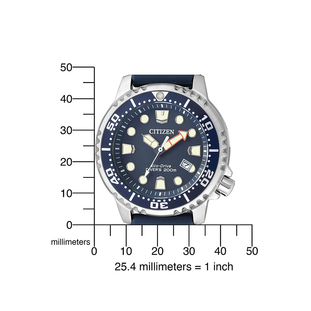 CITIZEN Mod. BN0151-17L