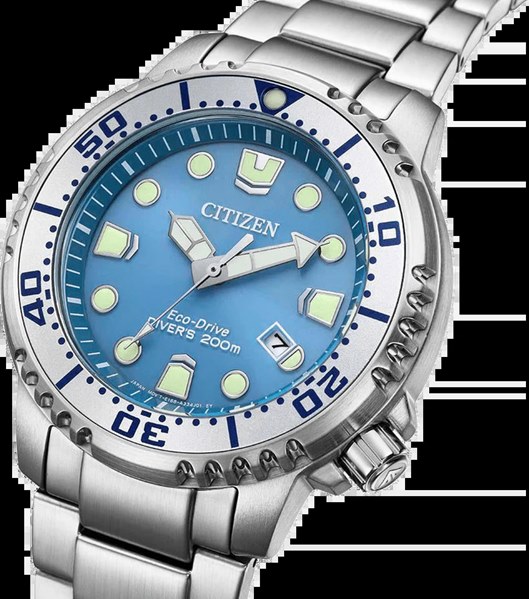 CITIZEN Mod. BN0165-55L