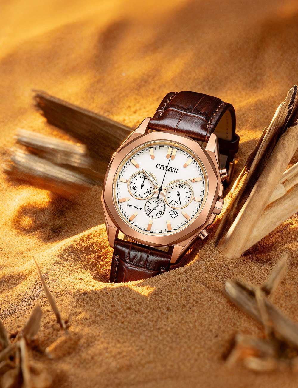 CITIZEN Mod. CA4593-15A