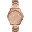 FOSSIL Mod. DAYLE