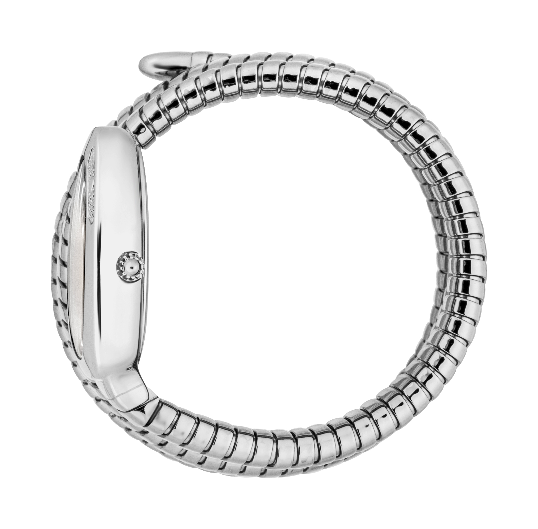 JUST CAVALLI TIME Mod. COSENZA 2023-24 COLLECTION