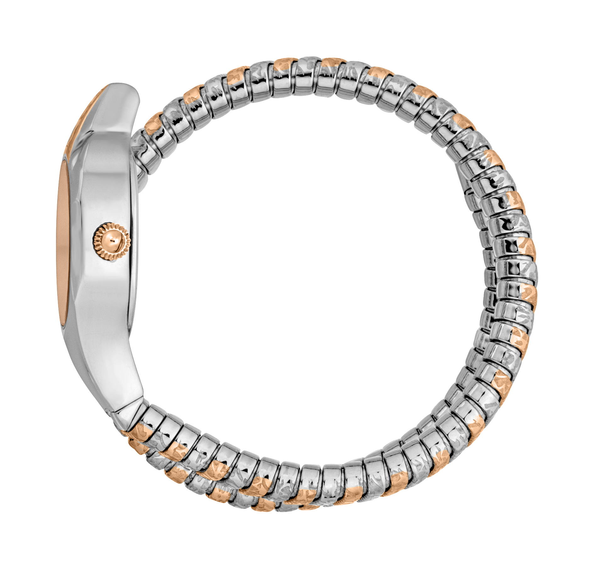 JUST CAVALLI Mod. JC1L270M0065
