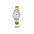 Q&Q Mod. GENT DAY & DATE