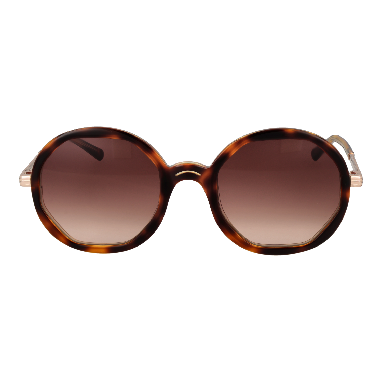 SANDRO MOD. SD6042 53170